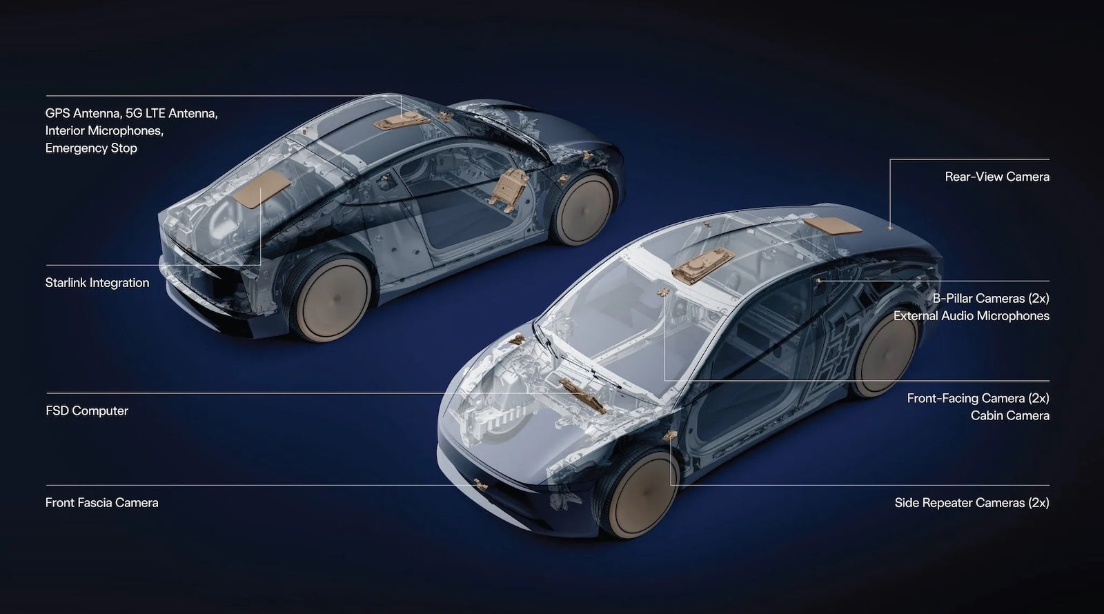 Tesla Robotaxi 登陸坦帕與奧蘭多,FSD 即將迎來重大變革!