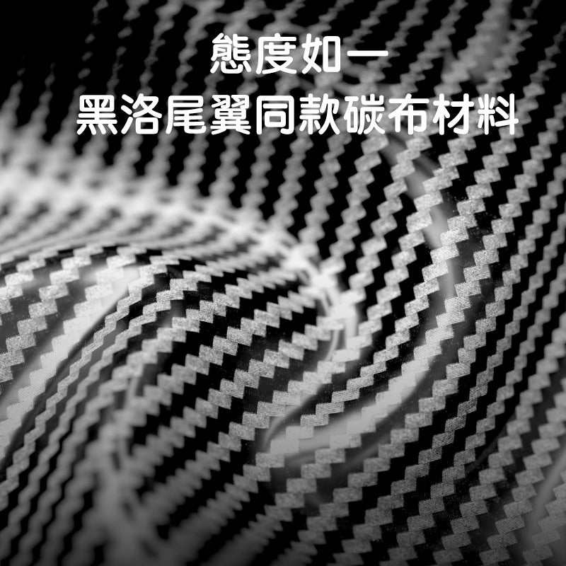 HALOBLK 黑洛 2025新款碳纖維車尾門貼標