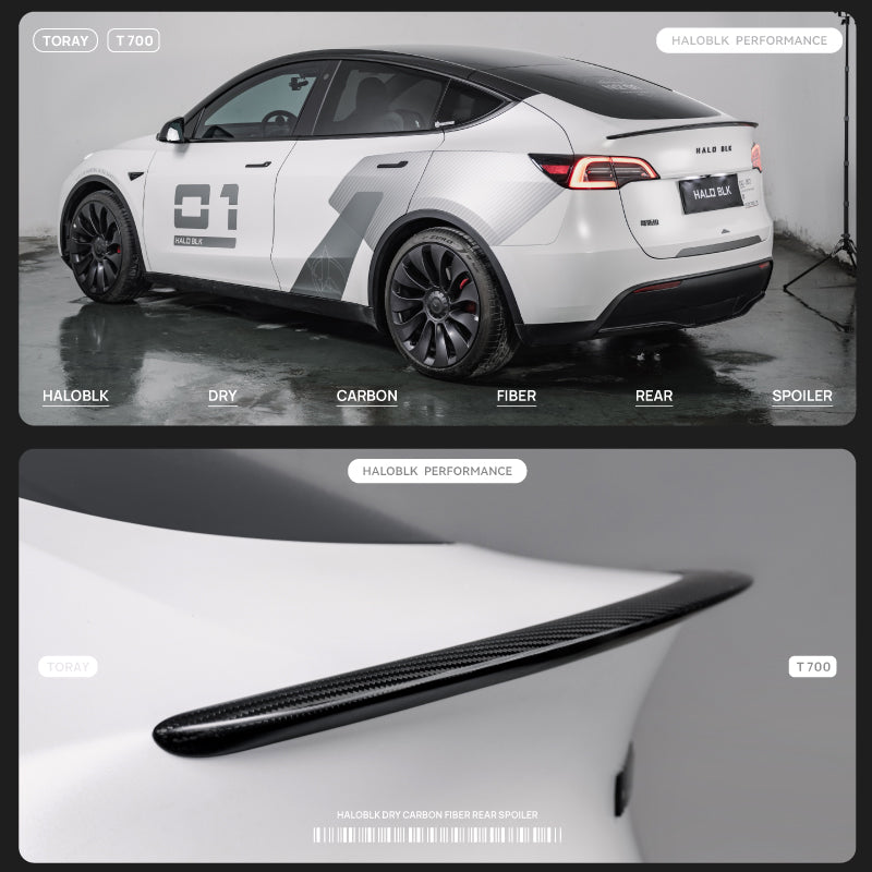 HALOBLK 黑洛 Model 3/Y/煥新版3/煥新版Y 真碳纖維尾翼 - 啞黑